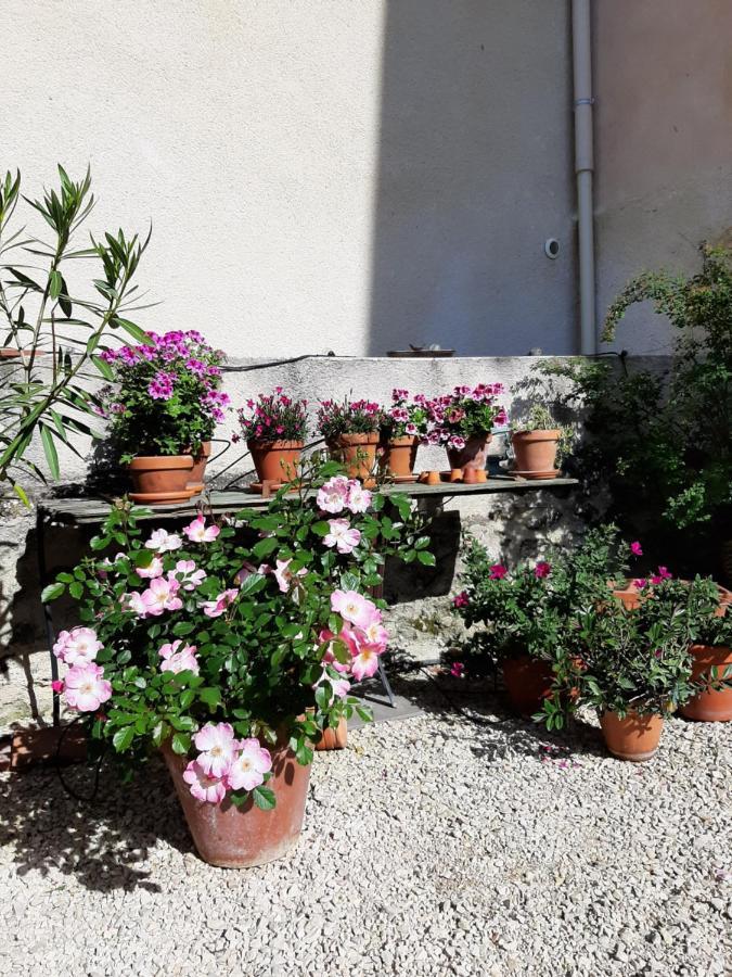 Maison D'Hotes Ventoureso Malemort-du-Comtat ภายนอก รูปภาพ