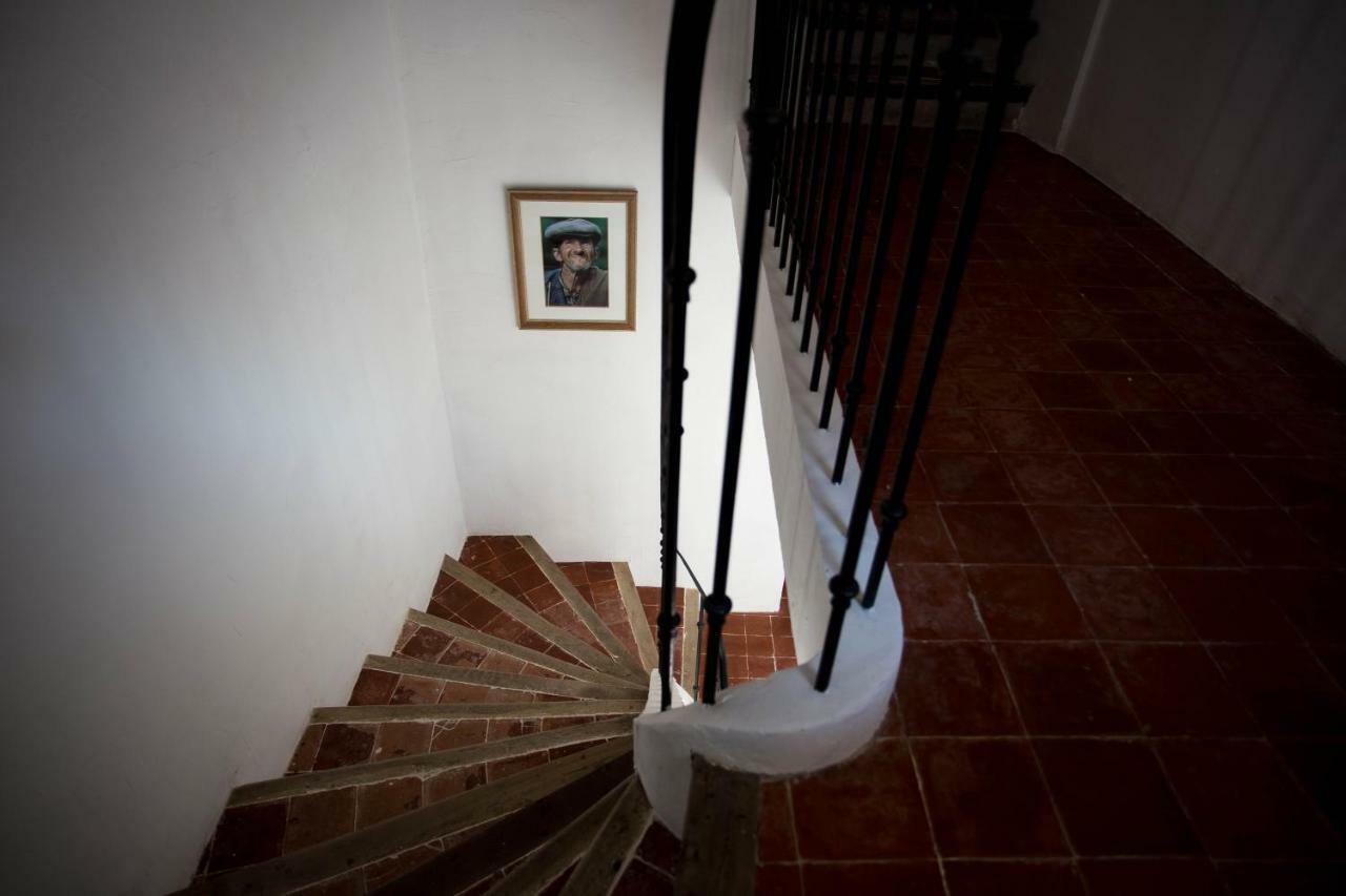 Maison D'Hotes Ventoureso Malemort-du-Comtat ภายนอก รูปภาพ